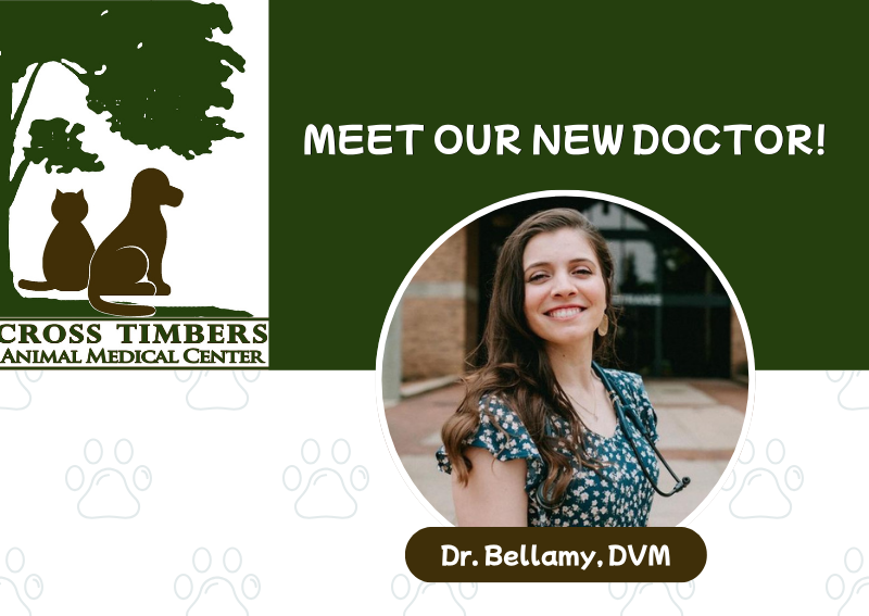 Carousel Slide 1: Click here to book!