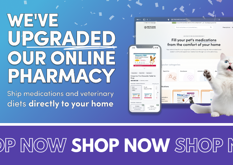 Carousel Slide 3: Shop our online pharmacy!