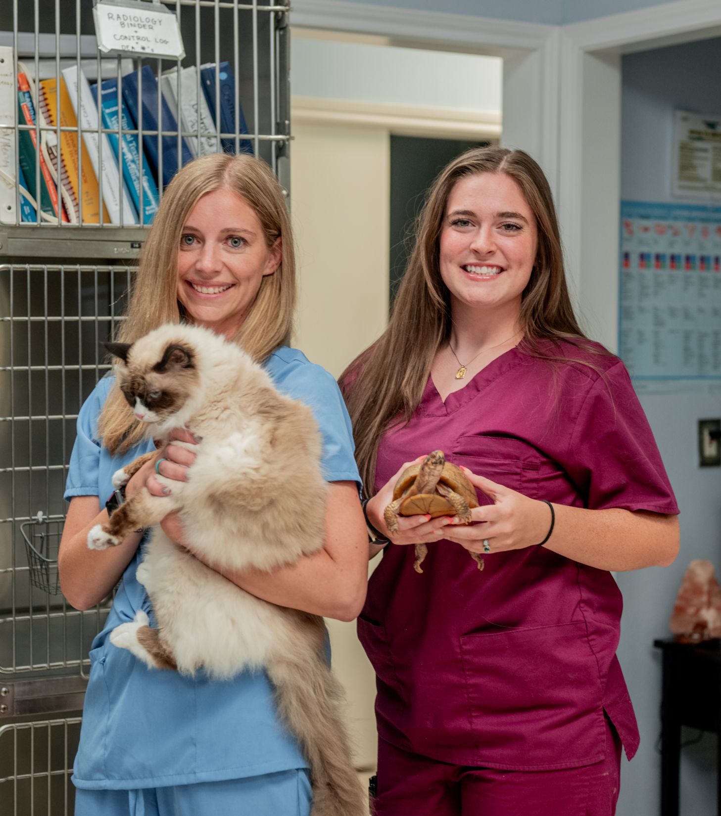 financial well-being