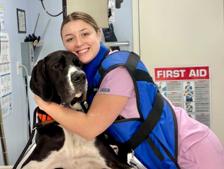 Pet Digital Radiology